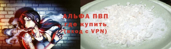 гашик Аркадак